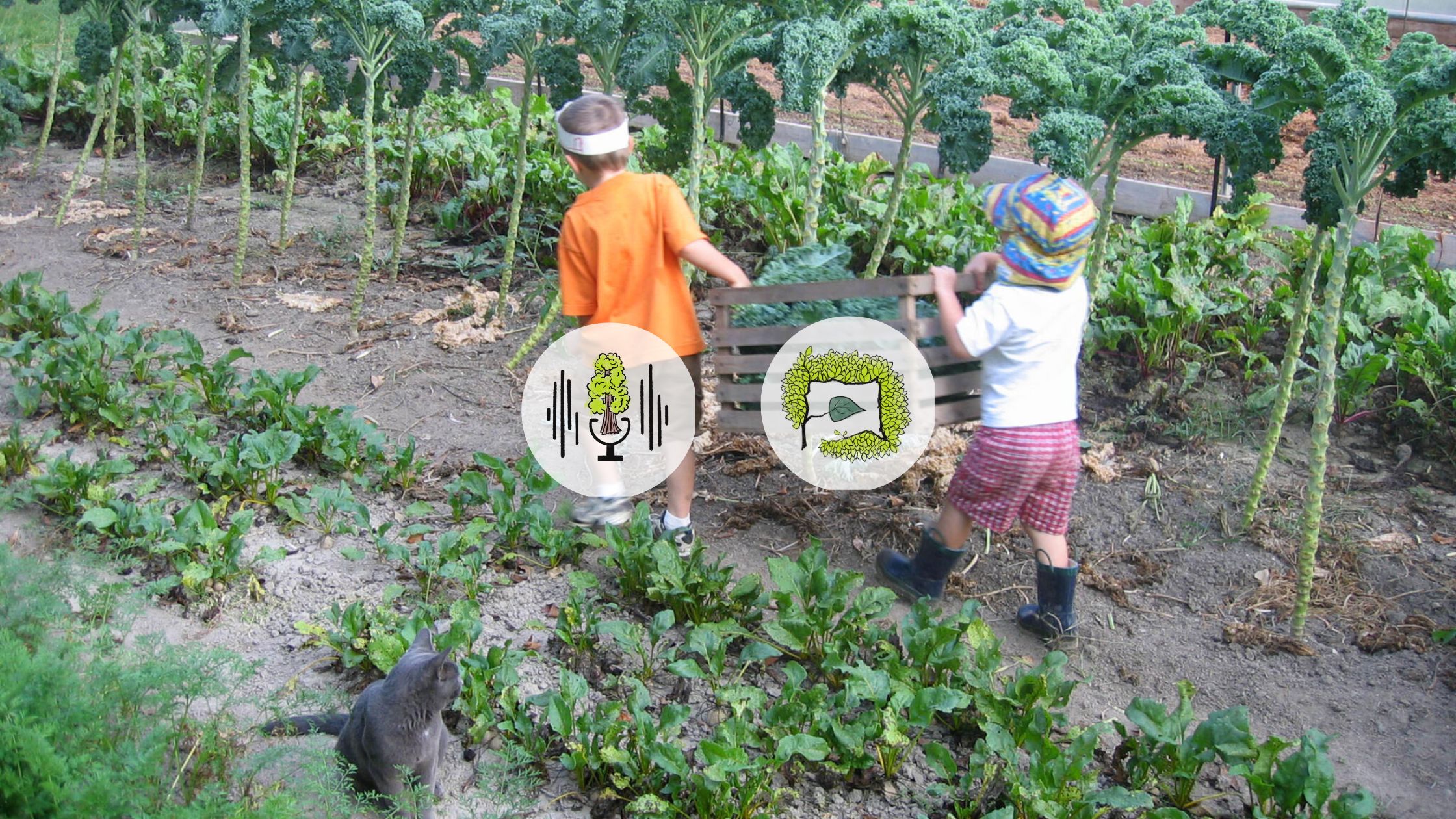 Children - Noah and Ben - carrying kale in a garden.