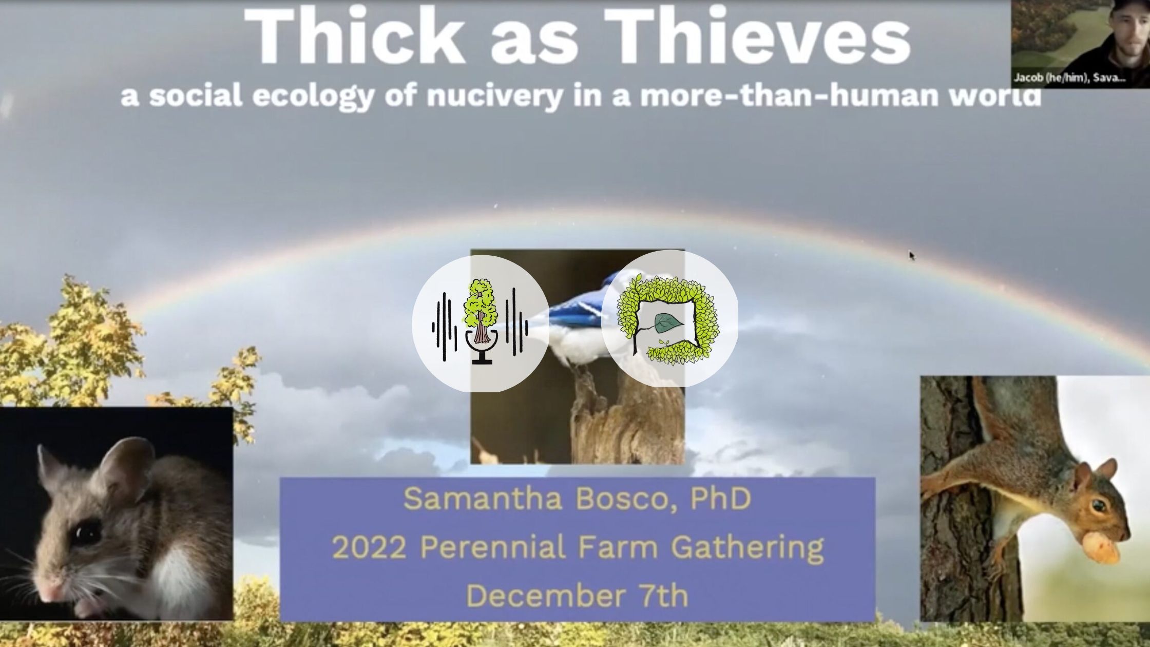 Thick as Thieves Banner - Featuring mouse, blue jay, and squirrel