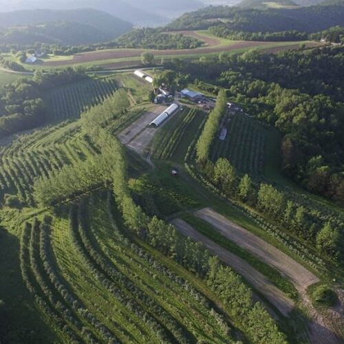 Hoch Orchard alley crops from an aerial view.