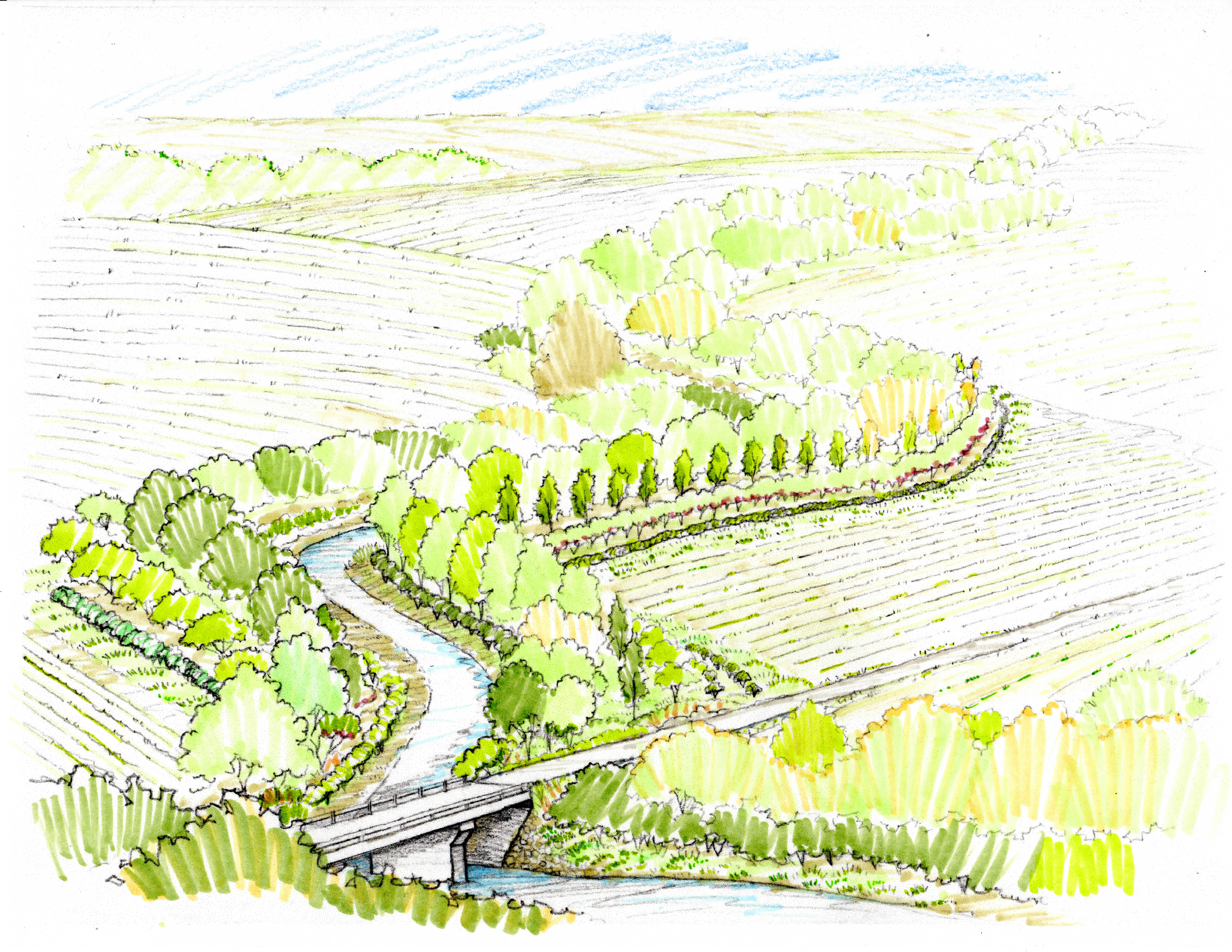 Riparian-Buffer-Sketch-Landscape-View-Color_print