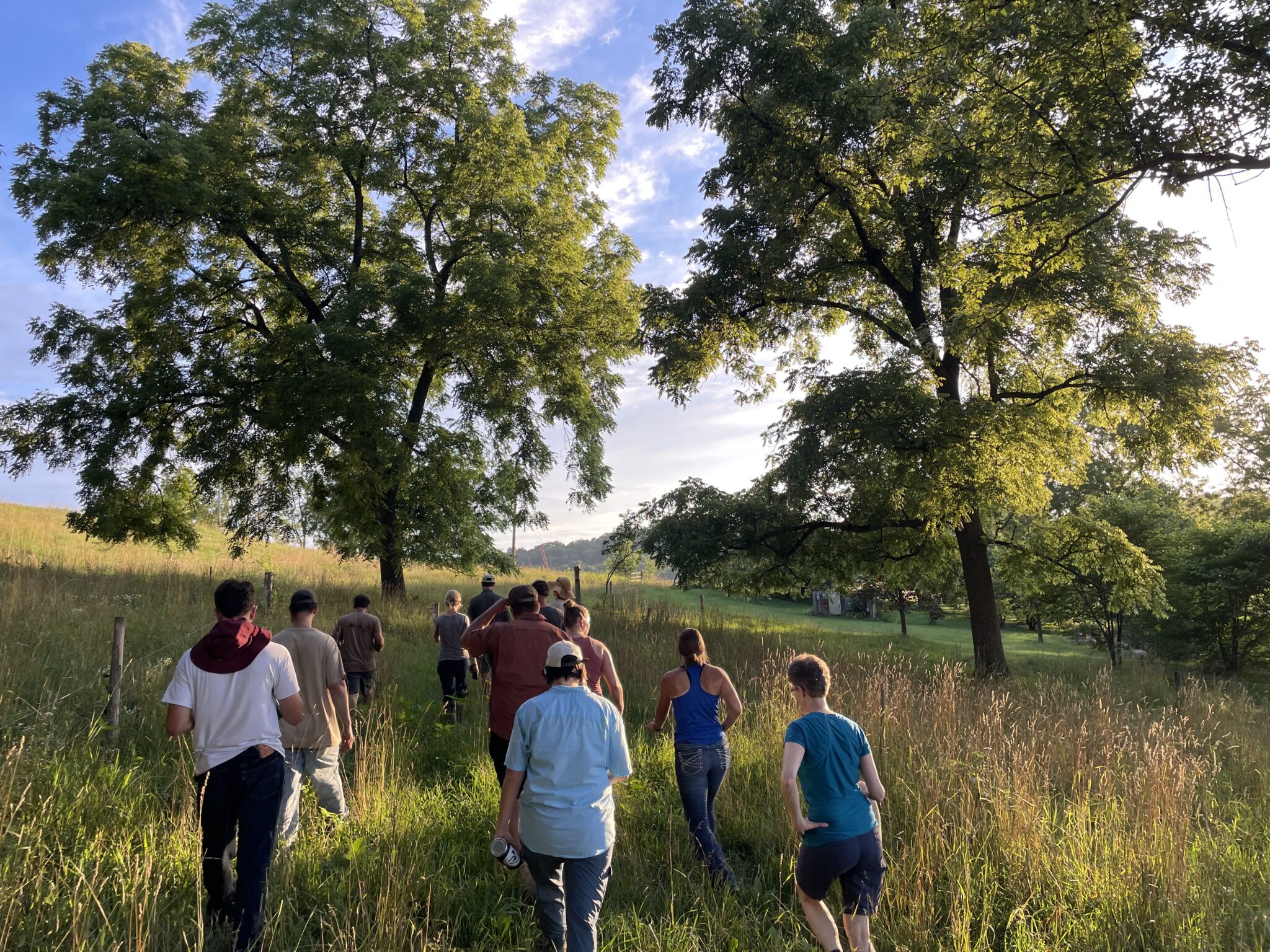 Agroforestry Practices - Savanna Institute