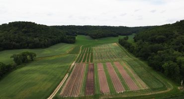 2022 Spring Green Drone Photos