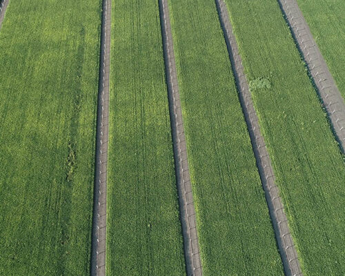 Alleycropping_rows_HudsonDemoFarm_IL_drone_photo-credit-Canopy