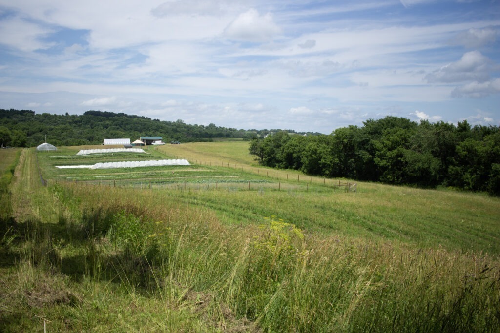 Humble Hands Harvest farm field.