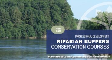 Riparian Buffers