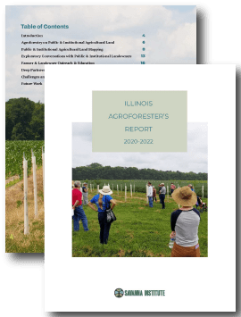 PDF-Preview-IL-Agroforesters-Report