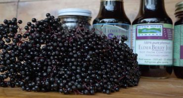 Bunch of Elderberries in front of jars and cans.