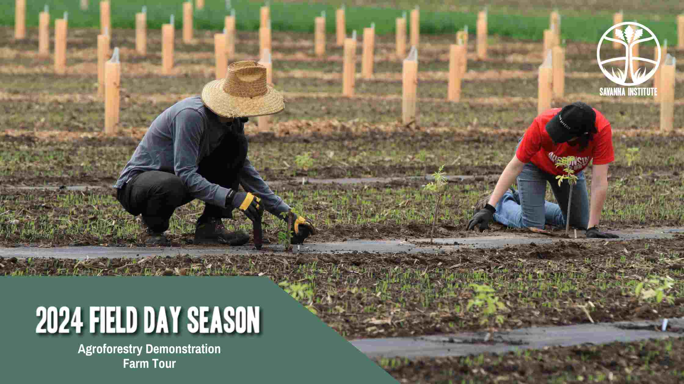 Spring Green Valley Farm Field Day Season Banner