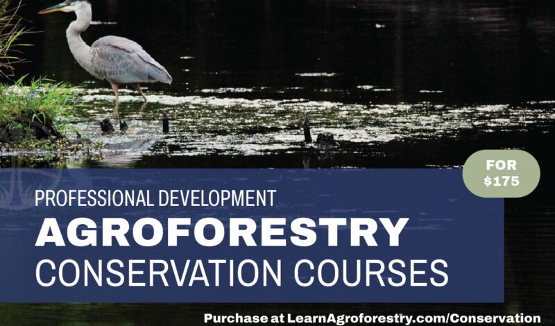 Conservation Courses Banner