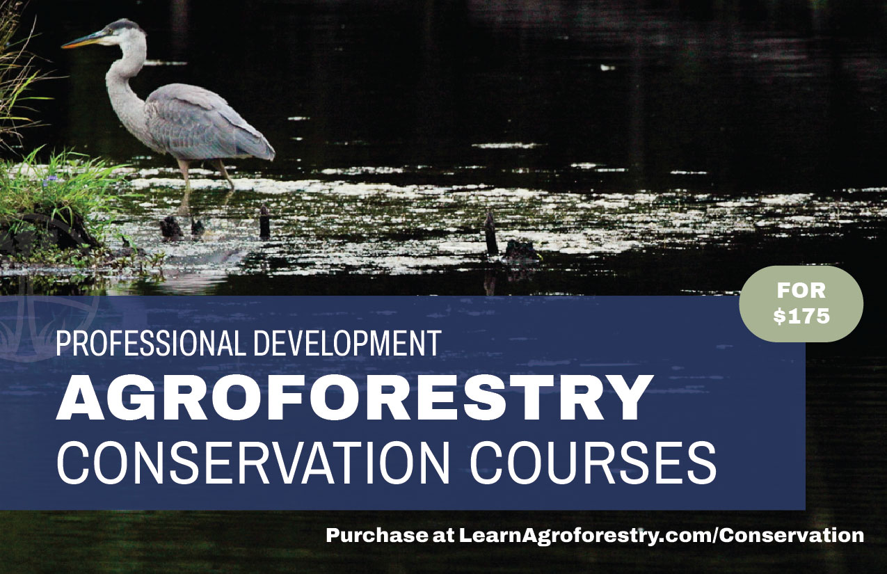 Conservation Courses Banner