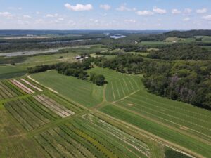 Arial view of a field with alley cropping and trees in Wisconsin.