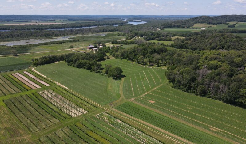 Arial view of a field with alley cropping and trees in Wisconsin.