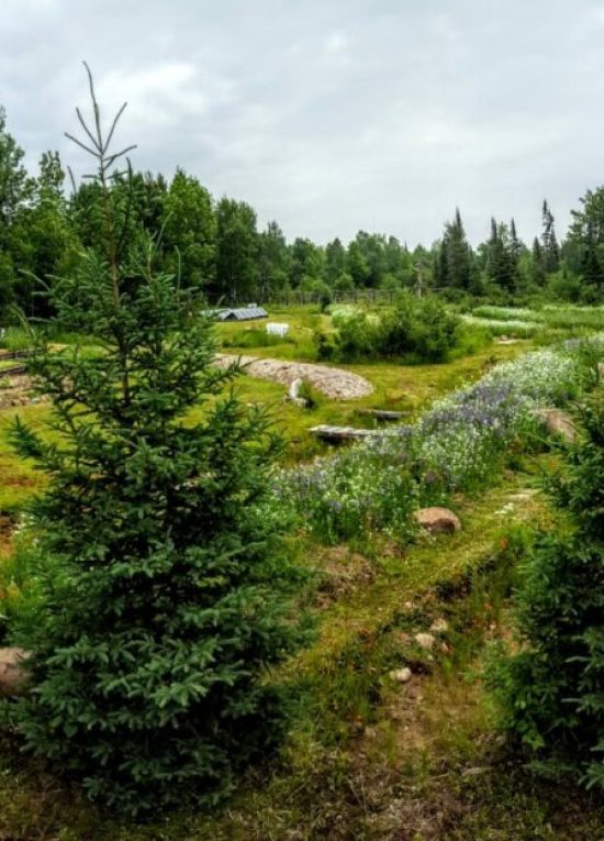 Northshore Agroecology