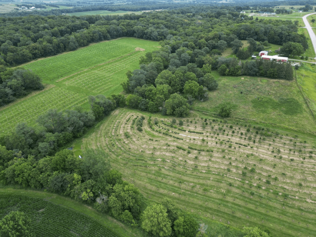 Olivia's Orchard