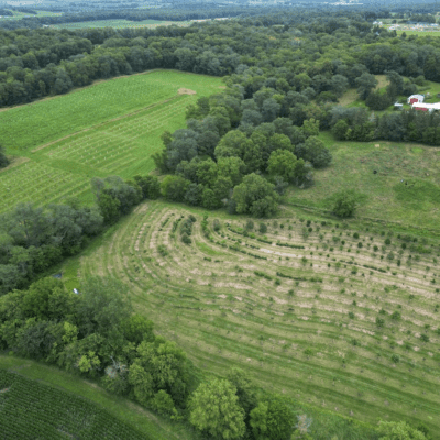 Olivia's Orchard