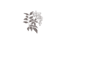 Elderflower Retreat Logo